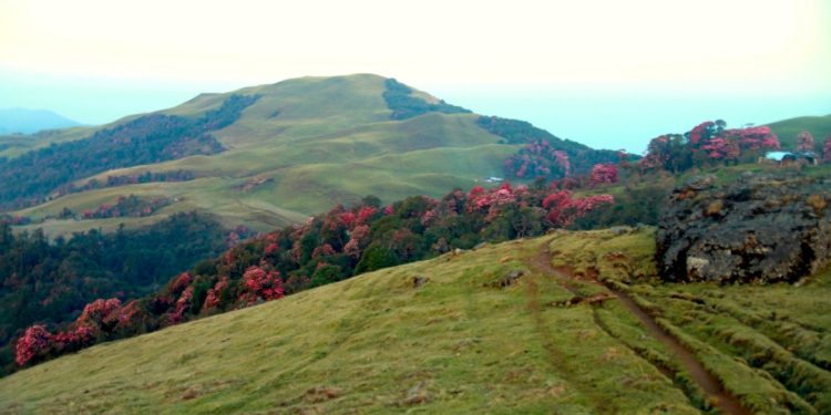 नयाँ वर्षको अवसरमा पर्यटकीयस्थल चखेवामा महोत्सव आयोजना गरिने