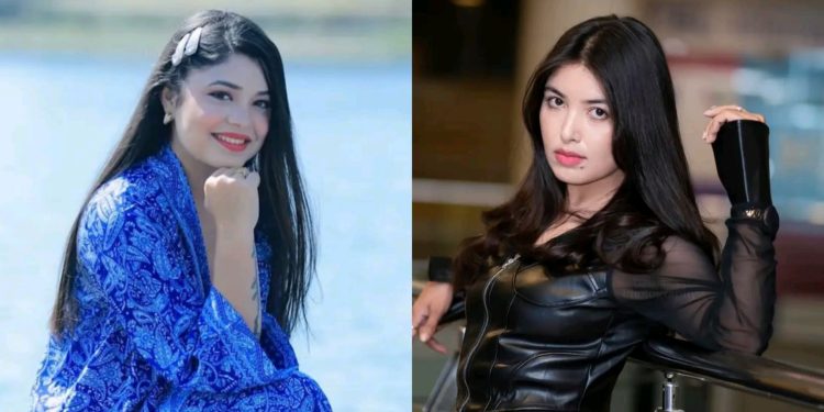 ‘बहुरुपी औरत’ भन्दै पुजा शर्मा लक्षित समीक्षा अधिकारीको स्ट्याटस